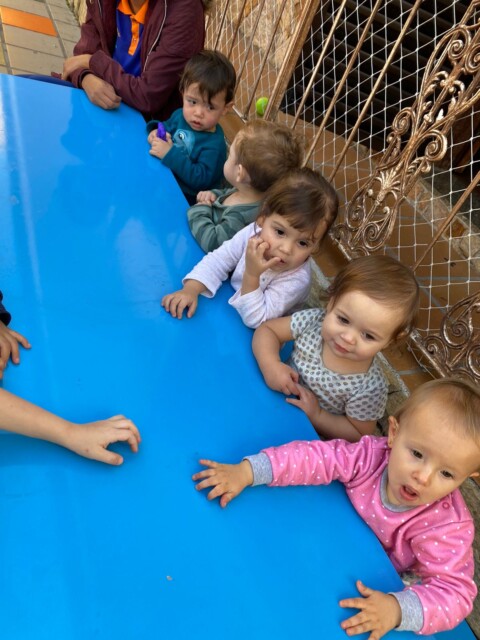 WhatsApp Image 2024-03-05 at 15.32.29