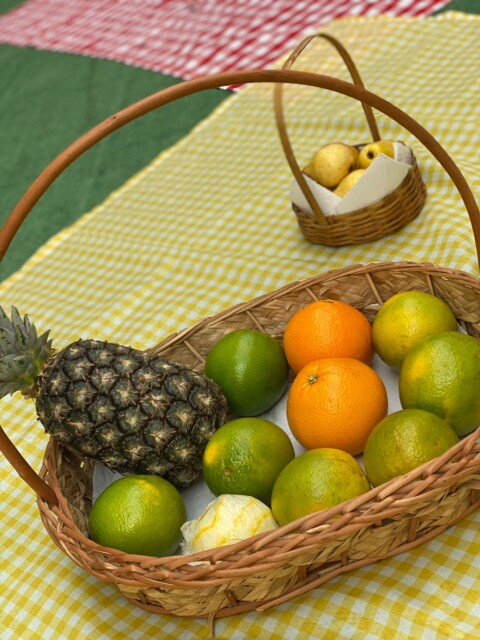 WhatsApp Image 2024-03-05 at 15.32.33 (2)