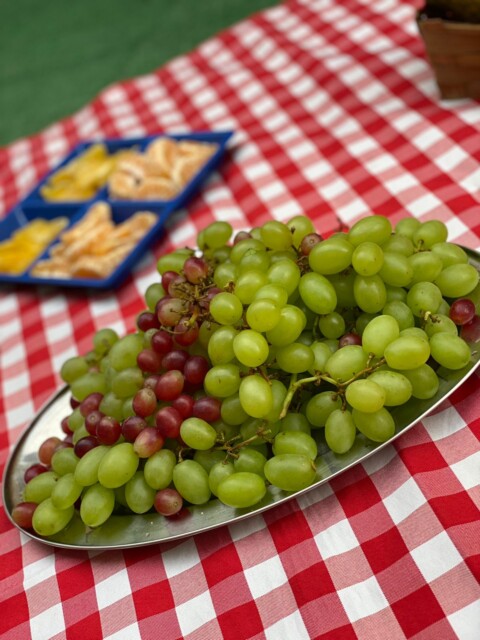 WhatsApp Image 2024-03-05 at 15.32.33