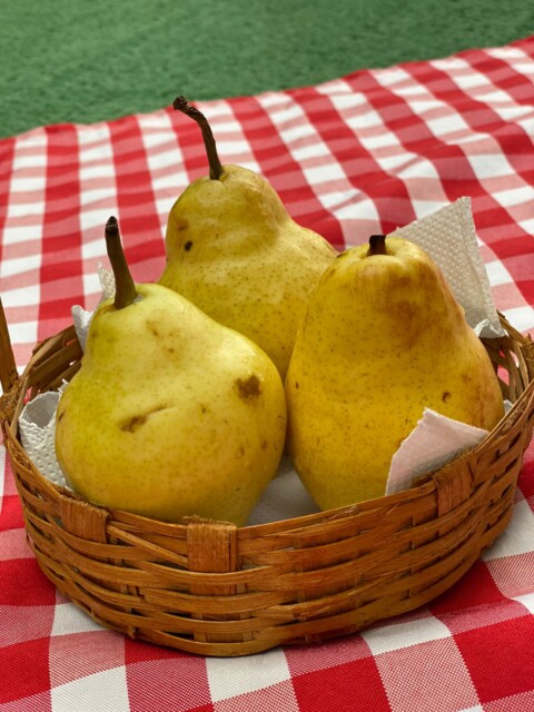 WhatsApp Image 2024-03-05 at 15.32.34 (3)