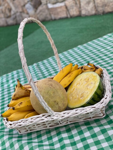 WhatsApp Image 2024-03-05 at 15.32.34